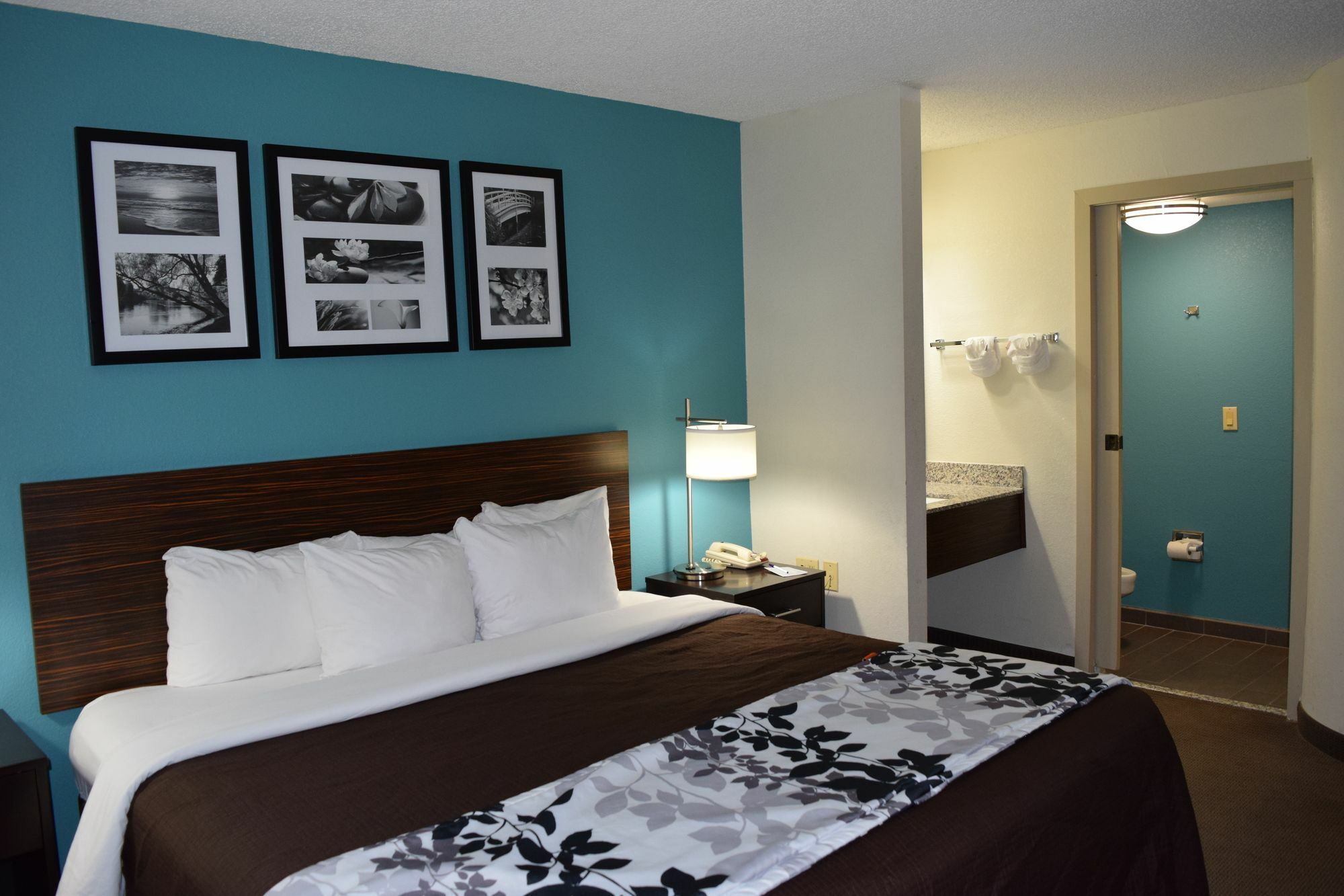 Clarion Inn & Suites Dfw North Ървинг Екстериор снимка